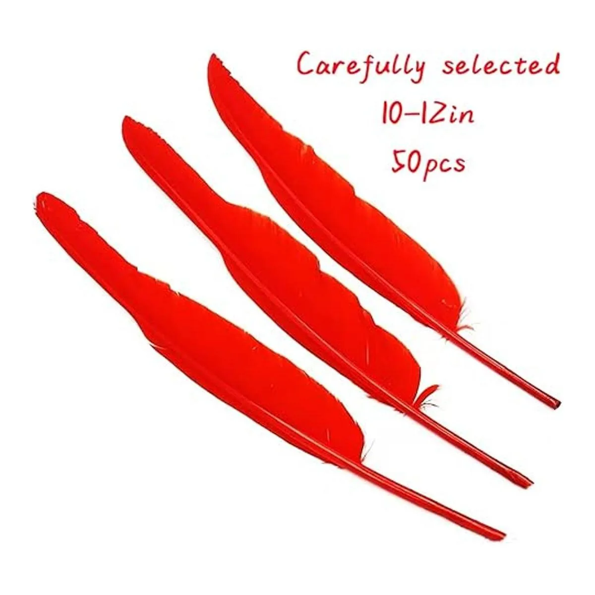 50 plumas rojas con 10 12 pulgadas de largo hermosa_2