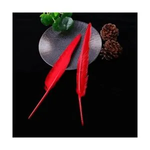 50 plumas rojas con 10 12 pulgadas de largo hermosa_5