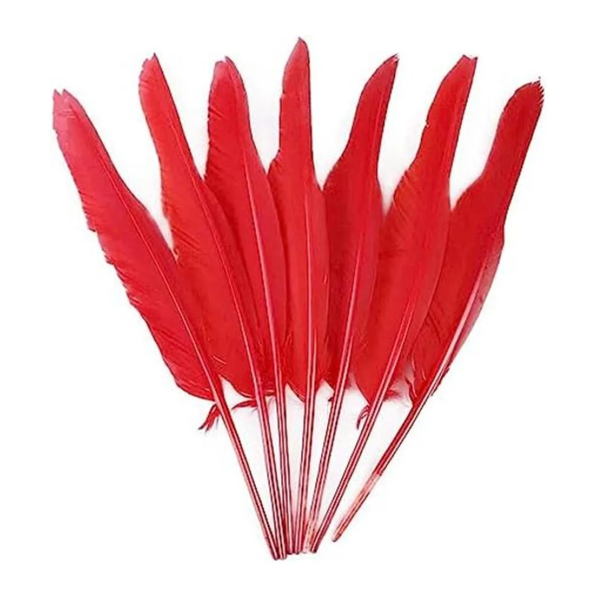 50 plumas rojas con 10 12 pulgadas de largo hermosa_1