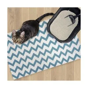 Alfombra de espuma de Fresh Kitty duradera XL Jumbo_4