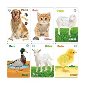 My Touch and Feel Tarjetas de flash sensoriales de doble_6