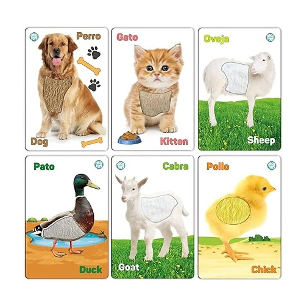 My Touch and Feel Tarjetas de flash sensoriales de doble_6