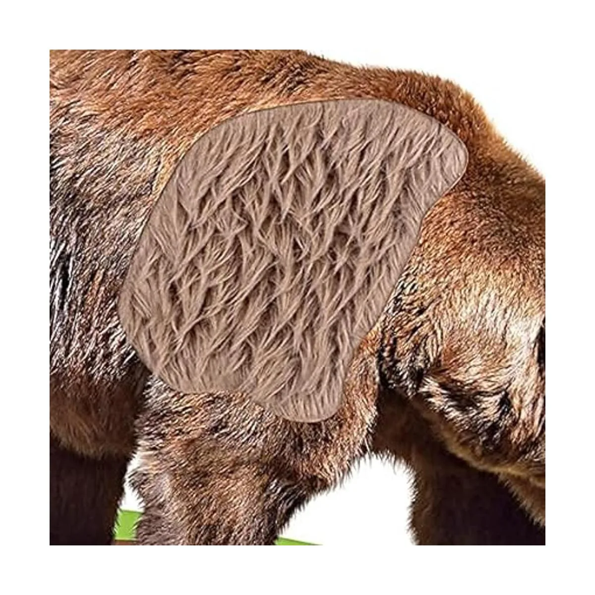 My Touch and Feel Tarjetas de flash sensoriales de doble_4