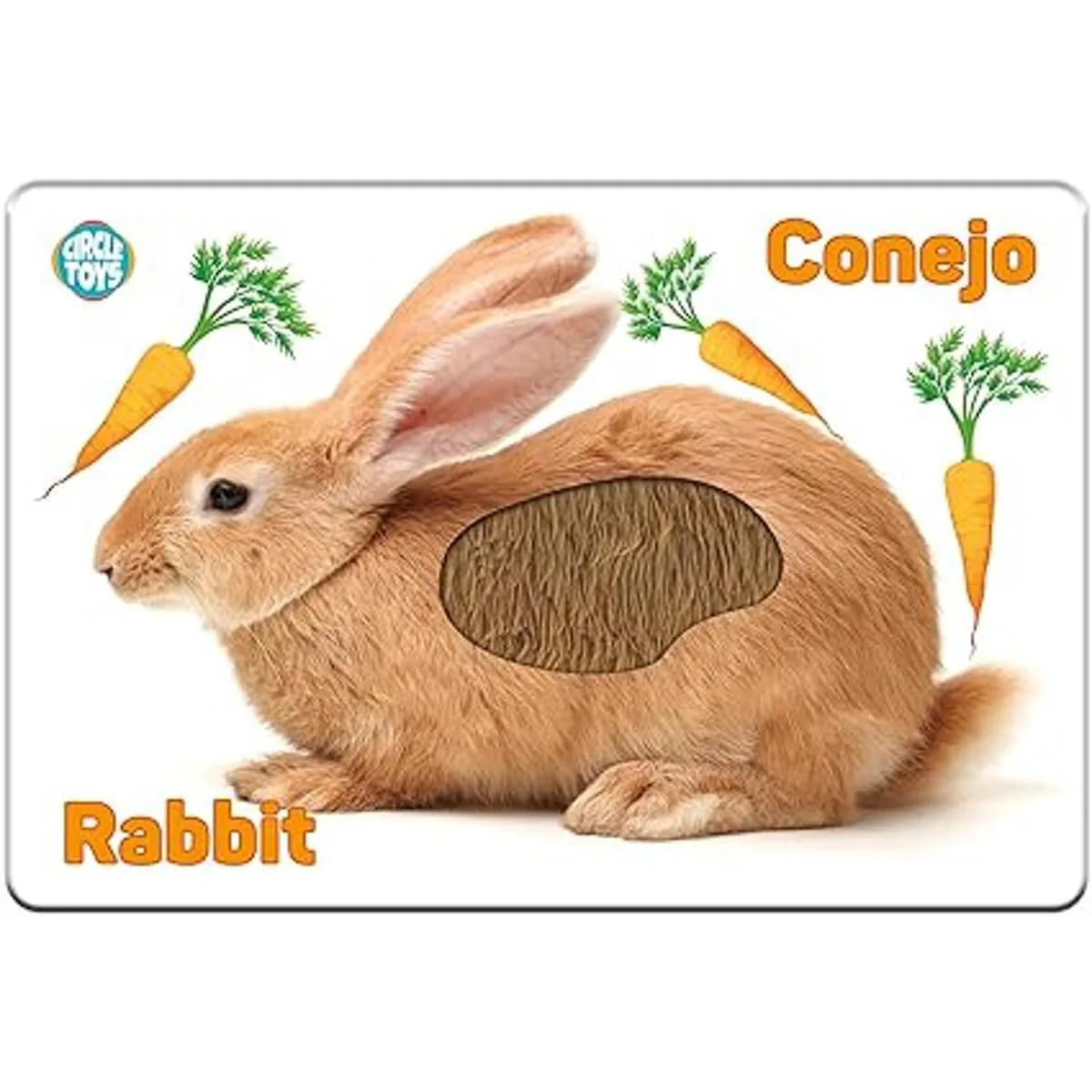 My Touch and Feel Tarjetas de flash sensoriales de doble_5