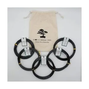 Juego de iniciación de alambre de entrenamiento bonsái de_2