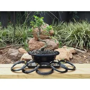 Juego de iniciación de alambre de entrenamiento bonsái de_3