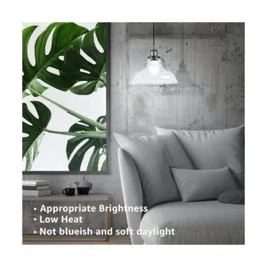 TORCHSTAR Paquete de 12 bombillas LED A19 equivalente a 60_5