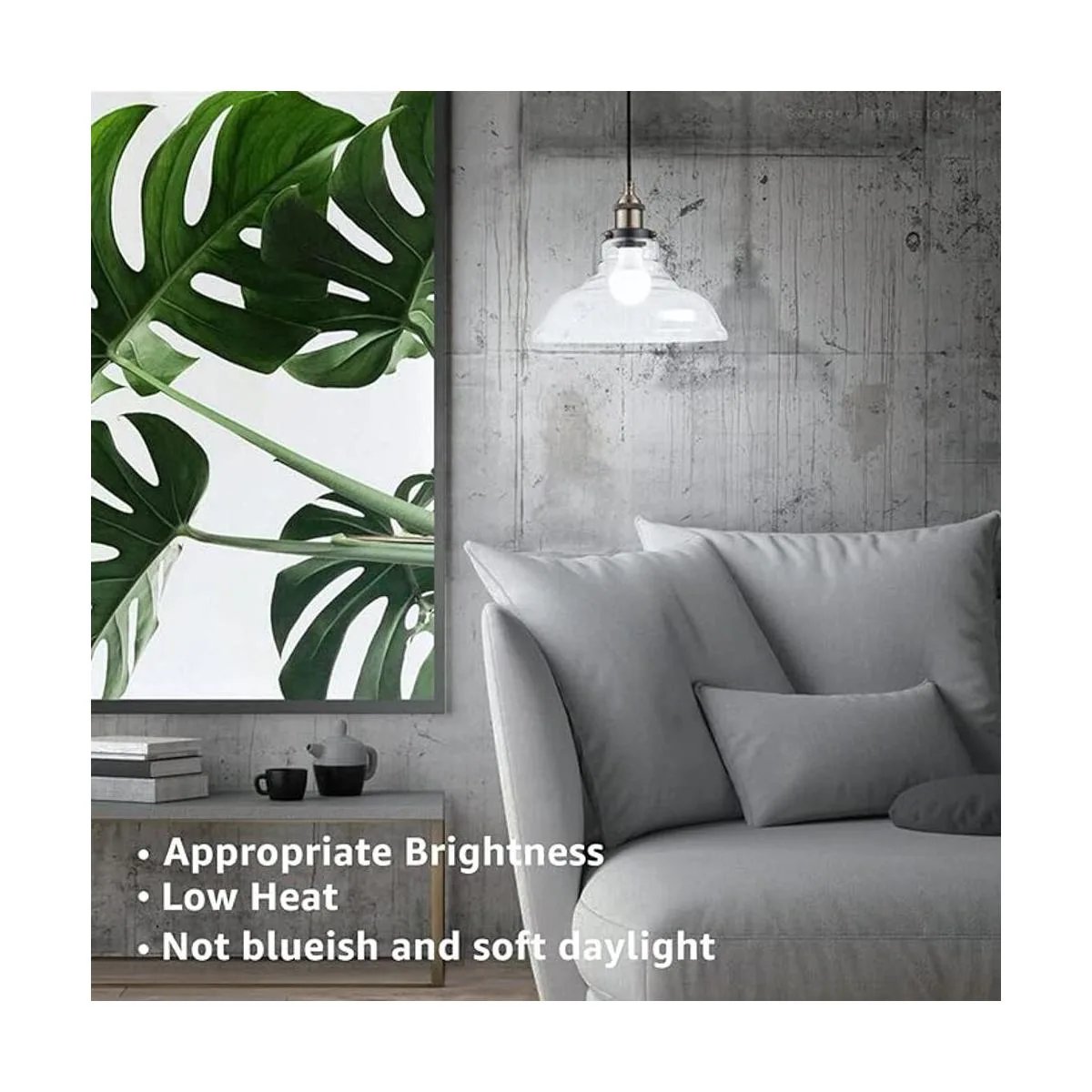 TORCHSTAR Paquete de 12 bombillas LED A19 equivalente a 60_5