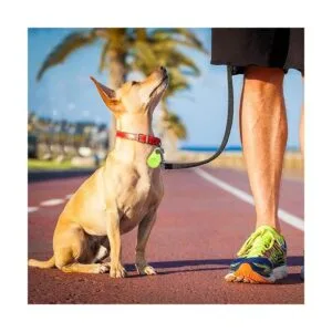 Localizador inteligente de llaves localizador GPS_5