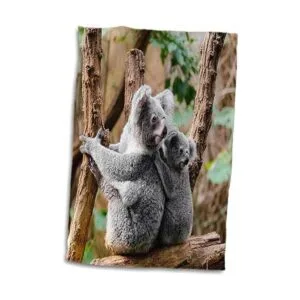 Toalla de mano 3D Rose Family Australia Koala Bear de 15.0_4