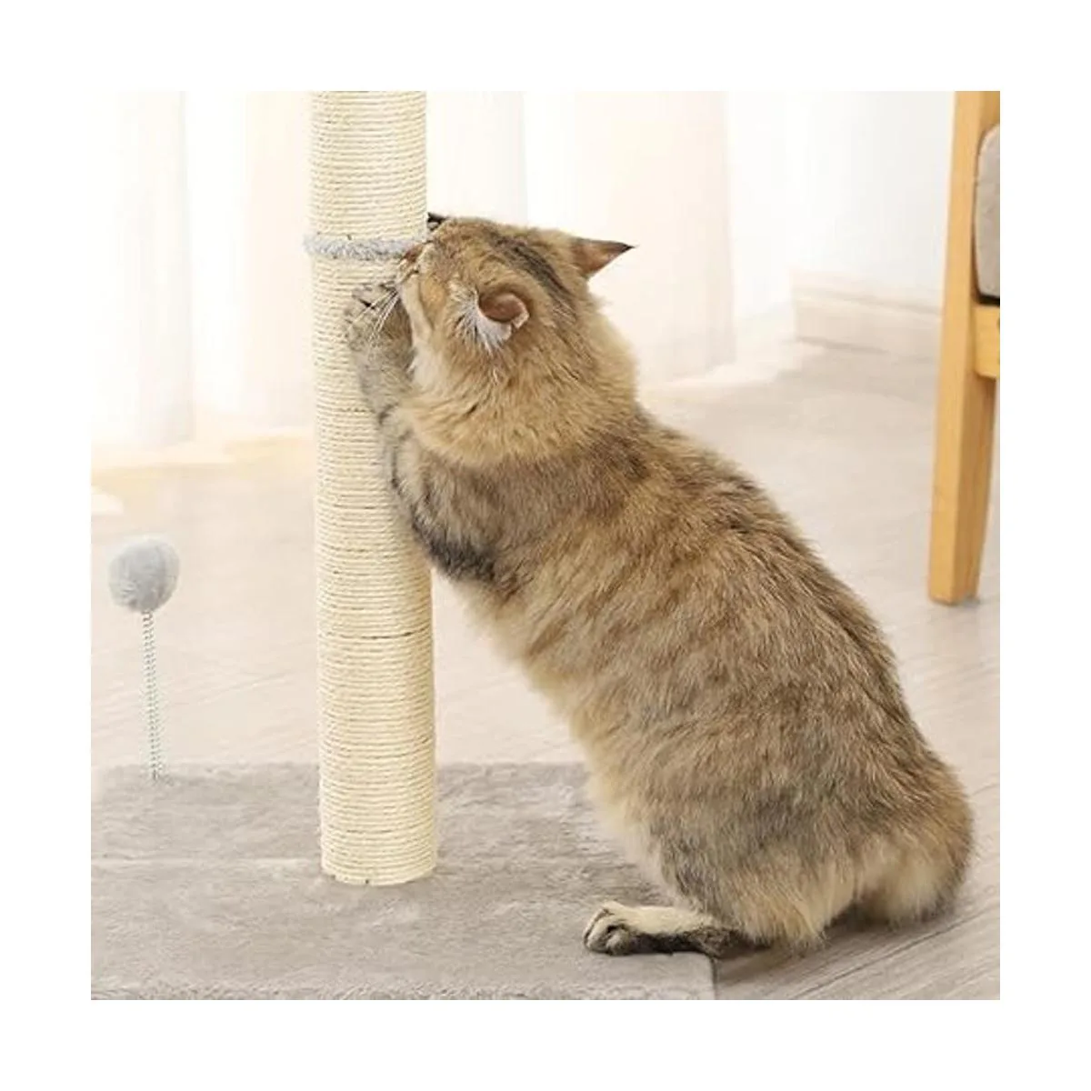 Rascador de rascar para gatos rascador de repuesto de_5