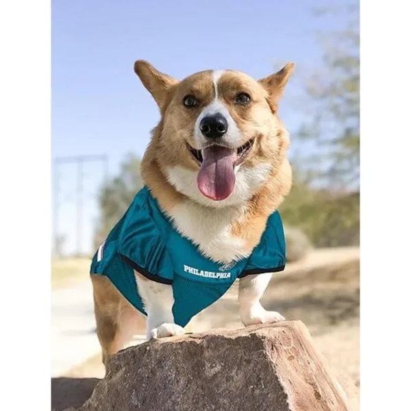 NFL Pets First NFL Dog Jersey_4