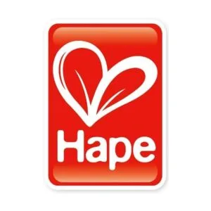 Hape Juego de aprendizaje de bloques de construcción de_6