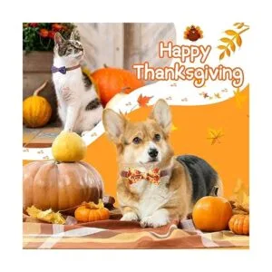 16 piezas de accesorios para el collar de corbatín para_4