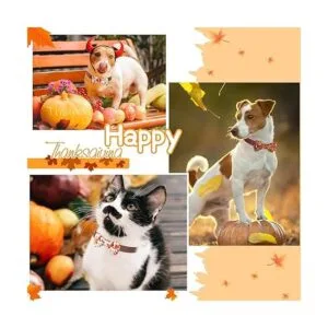 16 piezas de accesorios para el collar de corbatín para_7