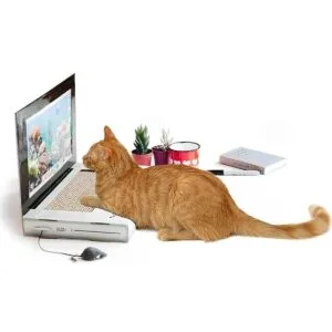 Serie UCK UK casa de juego para gatos Computadora_2