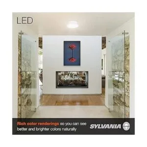 LEDVANCE 75081 1 lámpara de techo 1 unidad paquete de_5