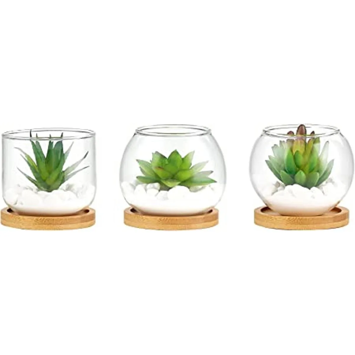 Mkono Suculentas artificiales en maceta de vidrio_1