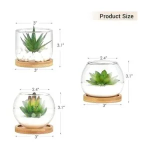 Mkono Suculentas artificiales en maceta de vidrio_5