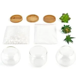 Mkono Suculentas artificiales en maceta de vidrio_6