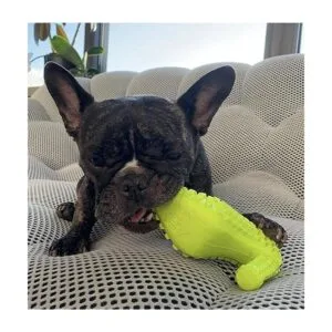 TOME Dog Toys for Aggressive Chewers Durable Natural_5