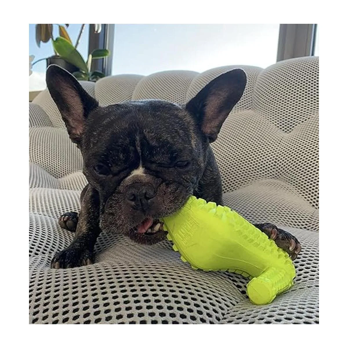 TOME Dog Toys for Aggressive Chewers Durable Natural_5