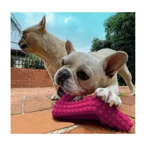 TOME Dog Toys for Aggressive Chewers Durable Natural_3