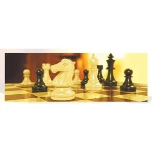 Multipurpose Juego de ajedrez magnético de viaje de 12.6_7