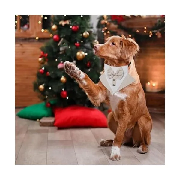 HACRAHO Bandana de esmoquin para perro 2 unidades_7