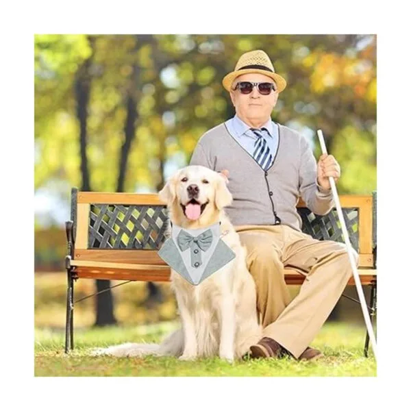 HACRAHO Bandana de esmoquin para perro 2 unidades_4