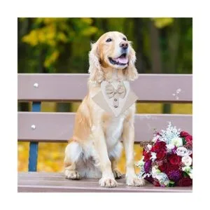 HACRAHO Bandana de esmoquin para perro 2 unidades_5