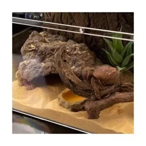 LUCOSIU Escondite de cuevas de roca de simulación de_2