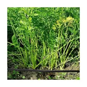 OUTFANDIA Tubo de riego de 38 pulgadas 4.9 ft_5