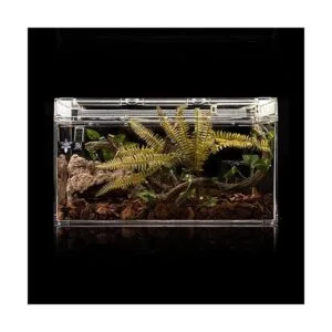 LUCOSIU Escondite de cuevas de roca de simulación de_3