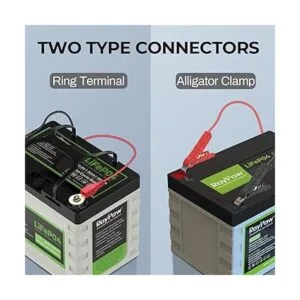 RoyPow Cargador de batería de 12 V 3 amperios cargador de_6