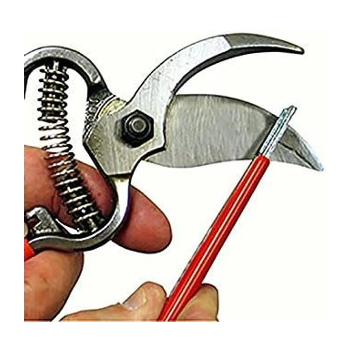 Podadora de mano de acero corte de 1 pulgada_6