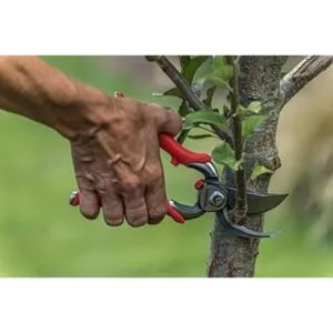 Podadora de mano de acero corte de 1 pulgada_3