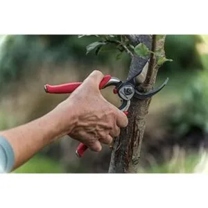 Podadora de mano de acero corte de 1 pulgada_2