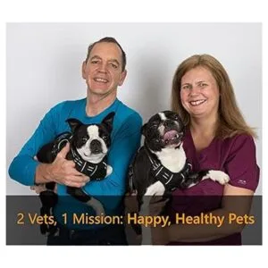 Cortaúñas para perros con protector de seguridad nitidez_5