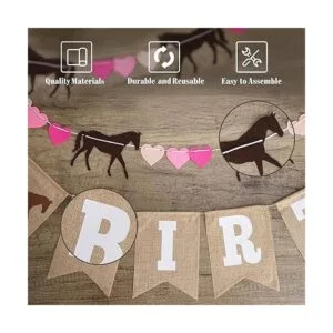 Suministros para fiesta de cumpleaños de caballos_3