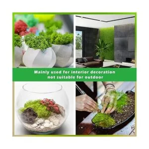 Tmovjxv Musgo preservado de 6 colores 16.9 onzas de musgo_4