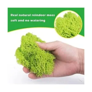 Tmovjxv Musgo preservado de 6 colores 16.9 onzas de musgo_3