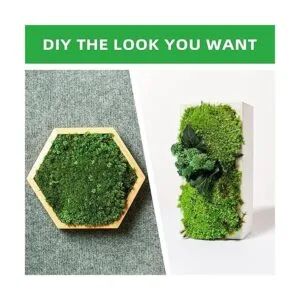 Tmovjxv Musgo preservado de 6 colores 16.9 onzas de musgo_6