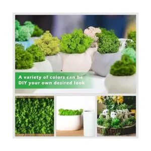 Tmovjxv Musgo preservado de 6 colores 16.9 onzas de musgo_5