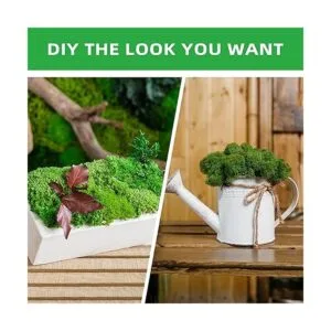 Tmovjxv Musgo preservado de 6 colores 16.9 onzas de musgo_7