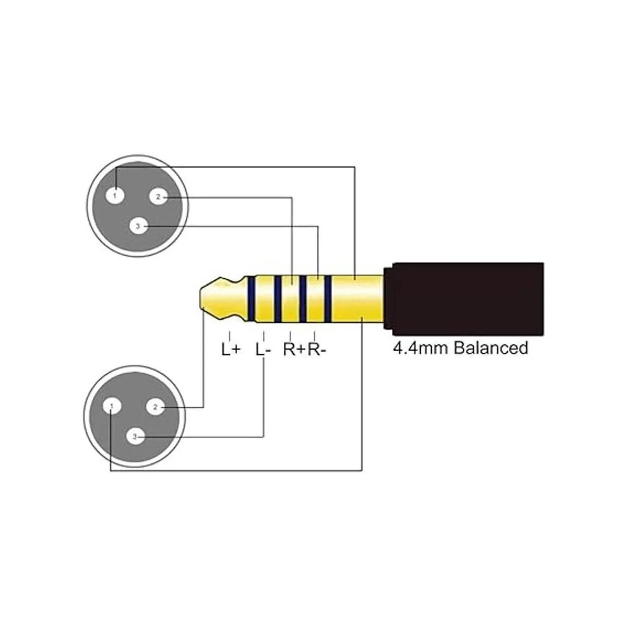 Adaptador de auriculares de audio equilibrado XLR macho de_2