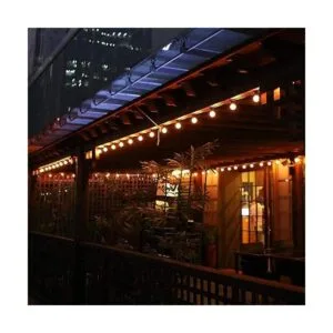 Paquete de 25 bombillas LED esmeriladas G40 de repuesto_7