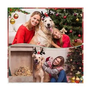 2 piezas de disfraz de Navidad para perro Papá Noel_5
