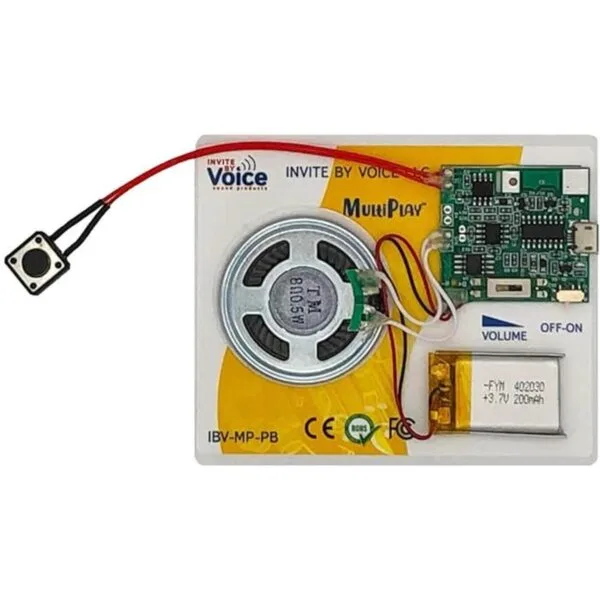 EZSound Chip de sonido grabable con botón multiplay_2