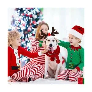 2 piezas de disfraz de Navidad para perro Papá Noel_7